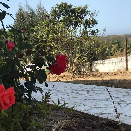 Vila Cacimbinha אלג'זור
